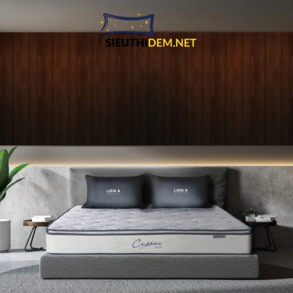 ĐỆM LÒ XO LIÊN Á CASSARO PLUSH - Ảnh 3