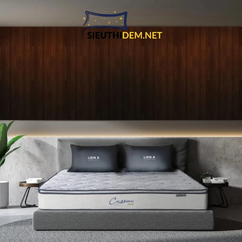 ĐỆM LÒ XO LIÊN Á CASSARO PLUSH - Ảnh 3