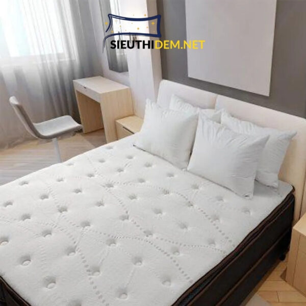 Đệm bông Hanvico cao cấp Raymond - Ảnh 2