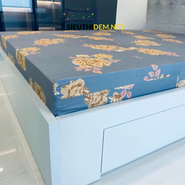 Đệm bông ép Elan Fly - Ảnh 3