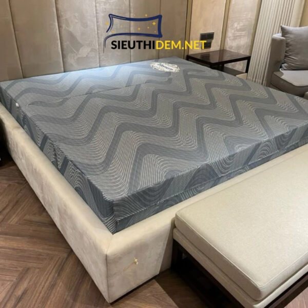 Đệm bông ép cao su Kim Cương Titanium - Ảnh 2