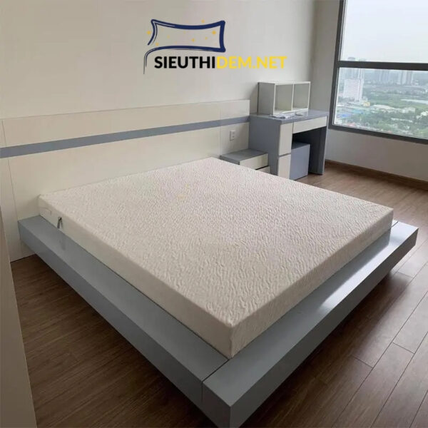 Đệm cao su Liên Á Premium Classic - Ảnh 2