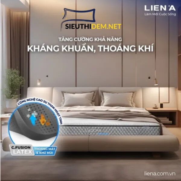 Đệm cao su Liên Á than hoạt tính Ladome Grey Premium - Ảnh 3