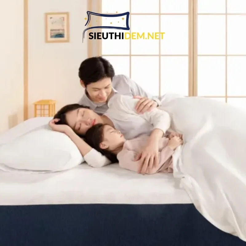 Đệm foam Nhật Bản Inoac Oyasumi Tancho - Ảnh 3