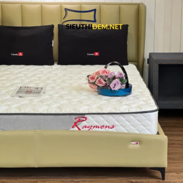 Đệm lò xo Canada Raymons - Ảnh 3